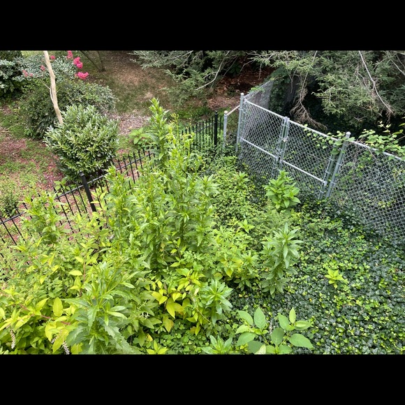 Lgsservices.org - Picture 15 of 16